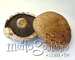 Cogumelo Portobello