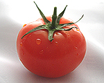 tomate