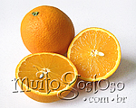 laranja ssleta