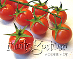 tomate cereja